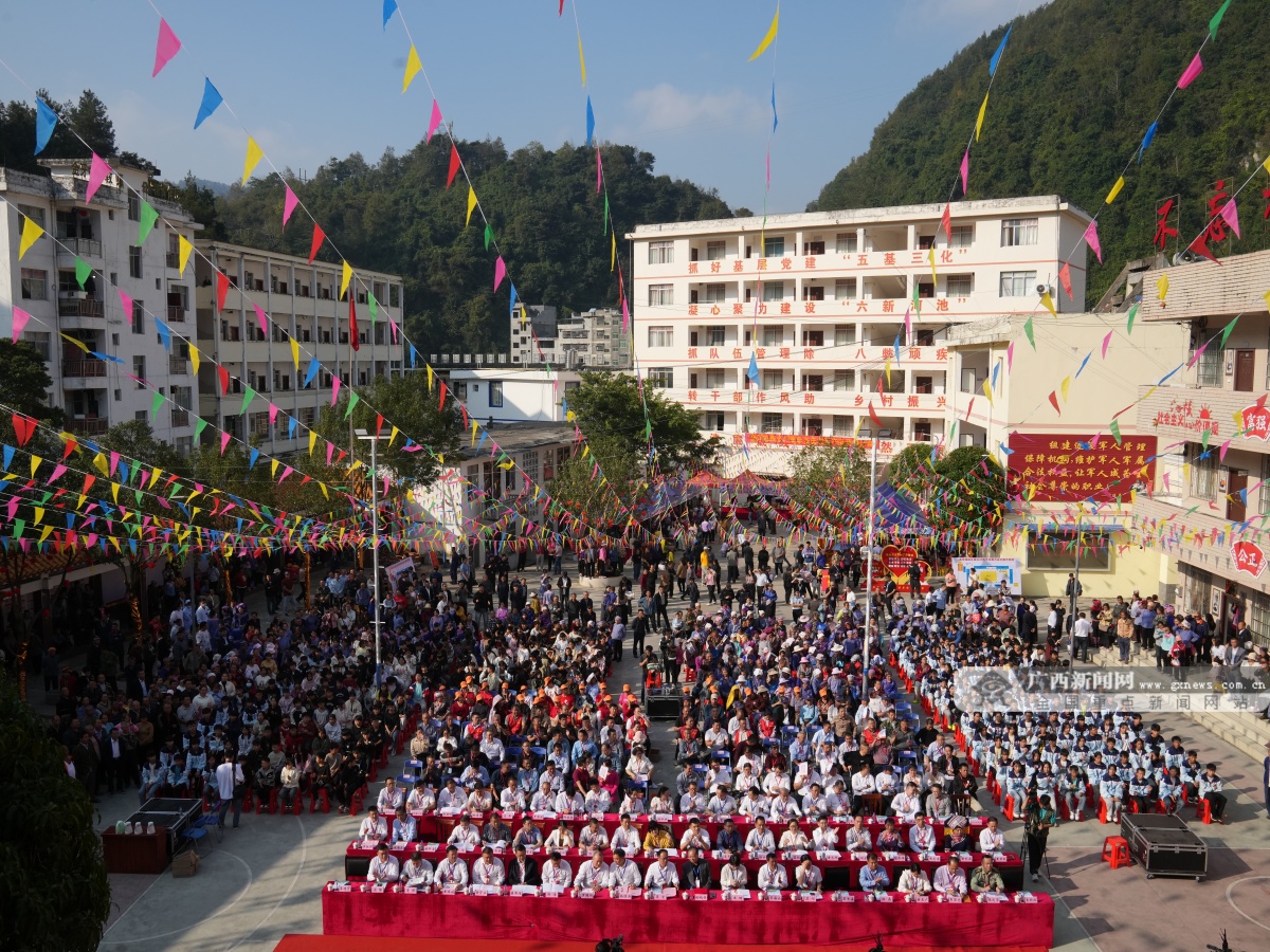 广西凤山县金牙乡图片图片