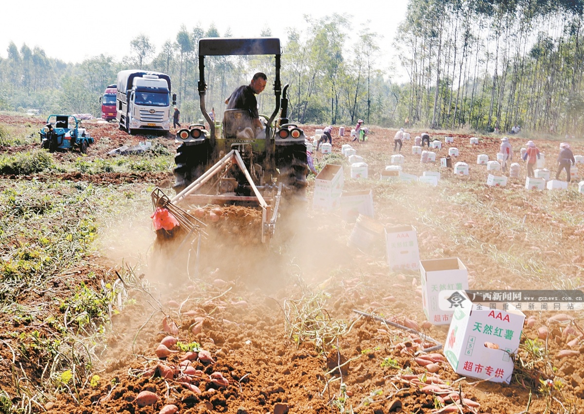 11��15�ս���ͼ