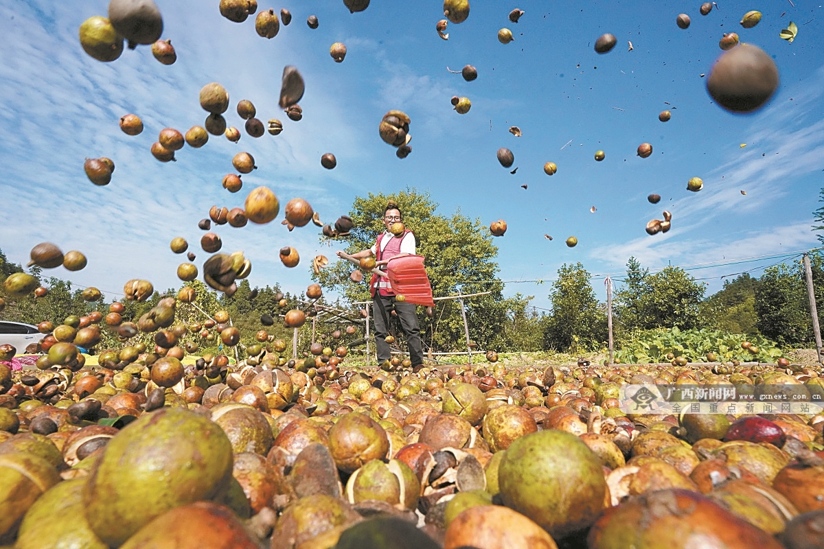 11��15�ս���ͼ