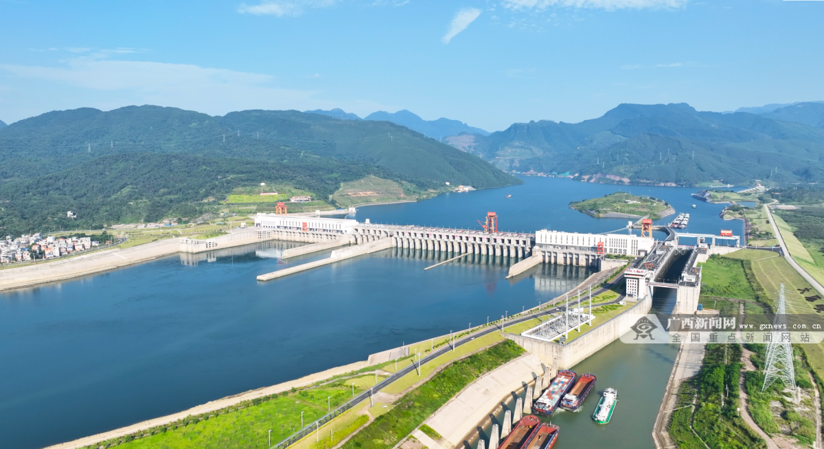 11月18日焦点图