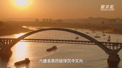 ǹŨڹĹ