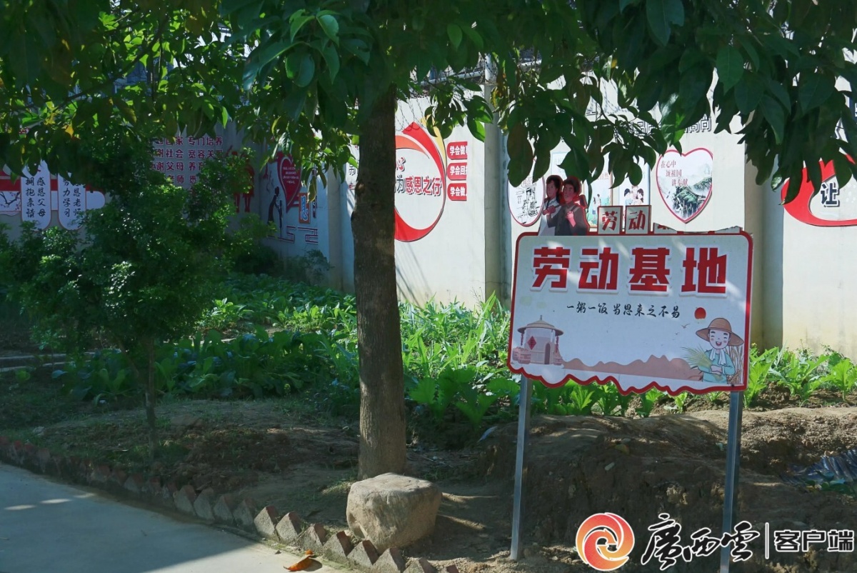 这个活动不简单！关爱青少年成长 弘扬科学家精神(图8)