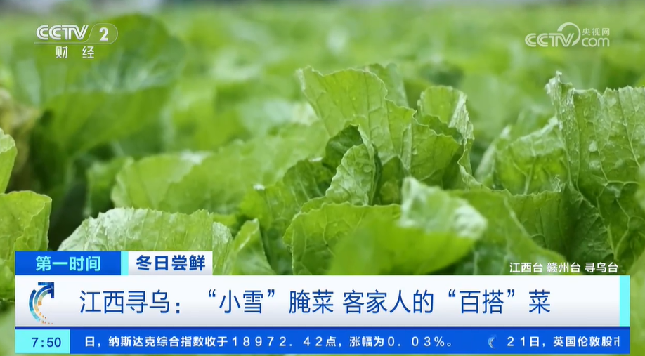 小雪节气 “菜篮子华体会”也丰富 大棚蔬菜上市 冬笋咸菜正当时(图6)