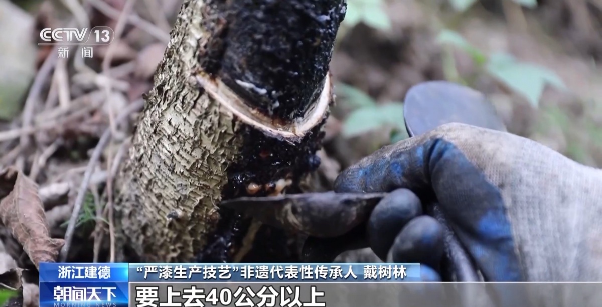 文化中国行丨非遗的现代“漆”迹严漆重绽家居新魅力(图2)
