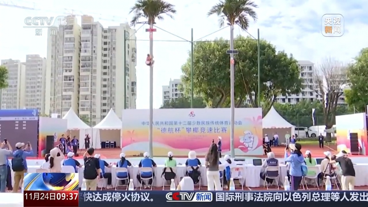 爬树也有比赛了？零距离看运动员争皇冠体育战“椰树之巅”(图1)