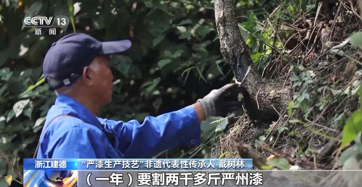 文化中国行丨非遗的现代“漆”迹严漆重绽家居新魅力(图1)