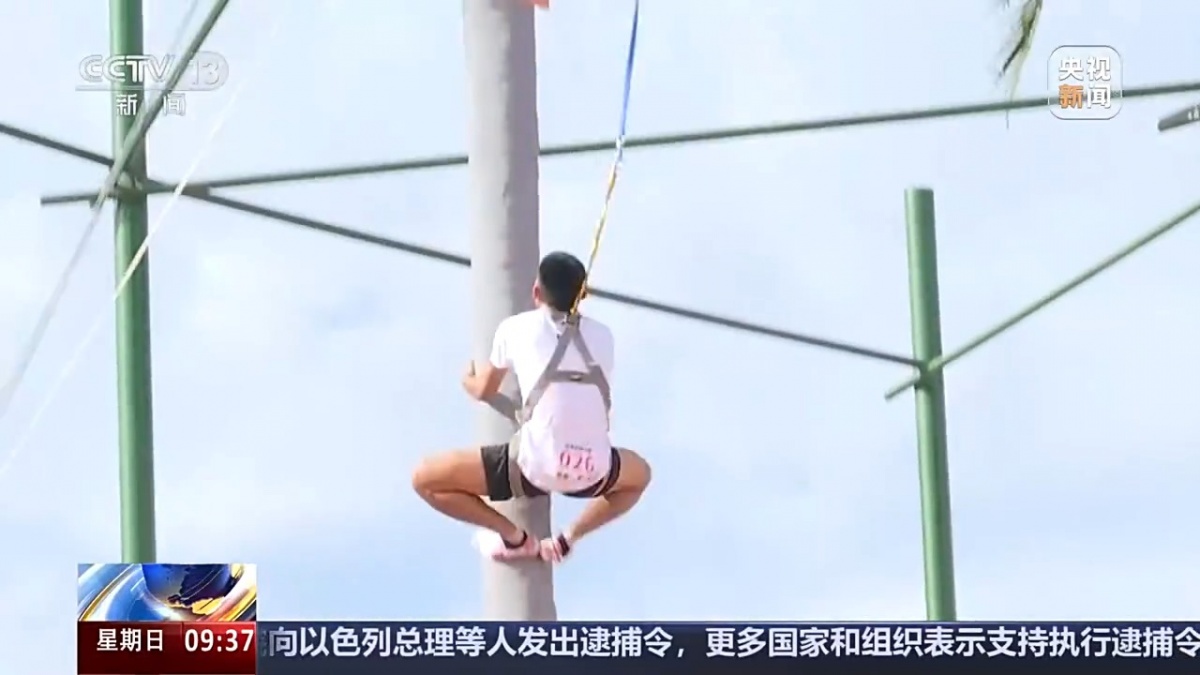 爬树也有比赛了？零距离看运动员争皇冠体育战“椰树之巅”(图2)