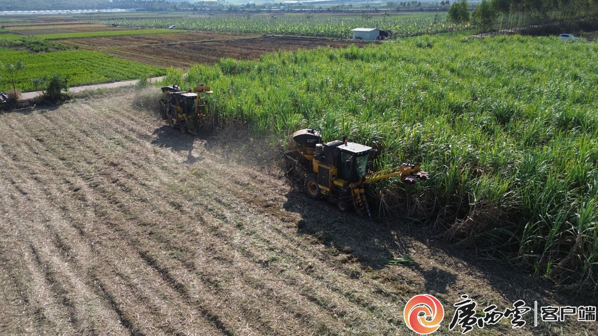 重点领域、重点任务公布！广西印发制造业优势产业补链强链延链行动方案(图2)