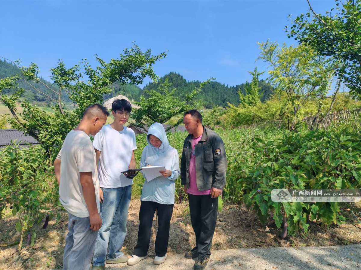 景上添瓜 南丹积极发展景区林下经济(图1)