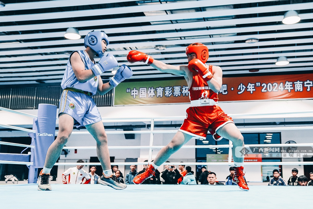 选拔苗子备战区运会！150余名南宁拳击少年激战擂台