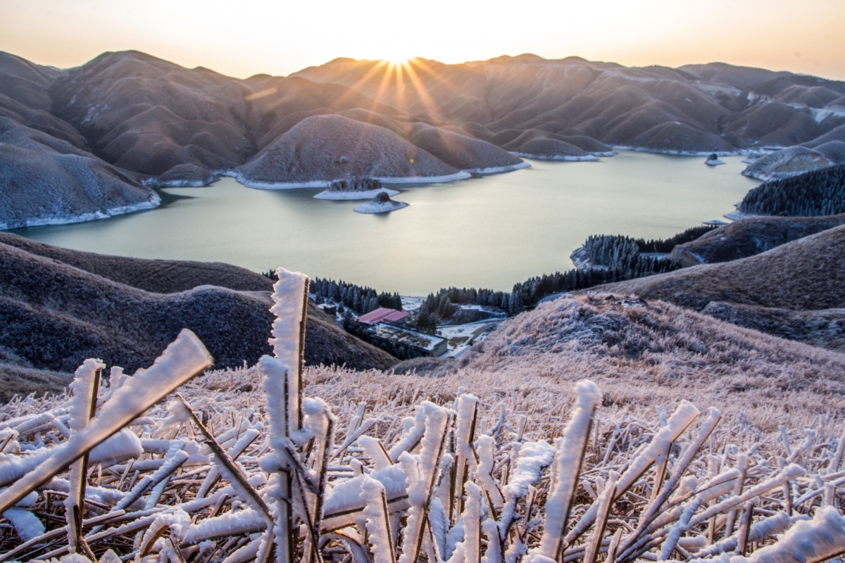 12月13日焦点图