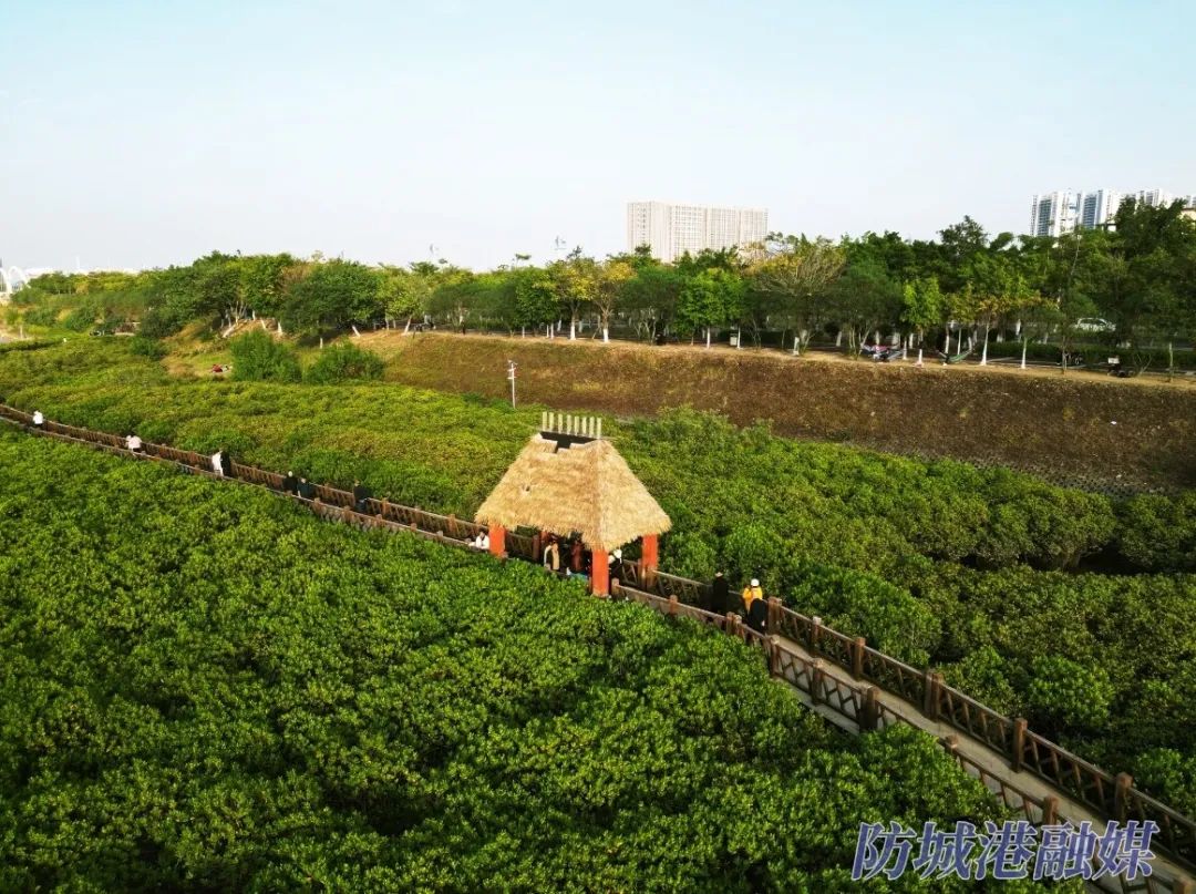 果博下载风光旖旎防城港西湾海岸线美景如画（组图）(图6)