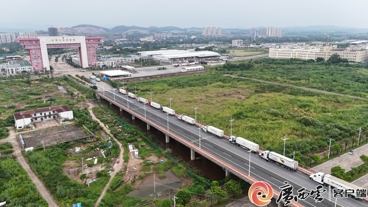 稳外贸促发展东兴跨境电商集聚发展(图4)