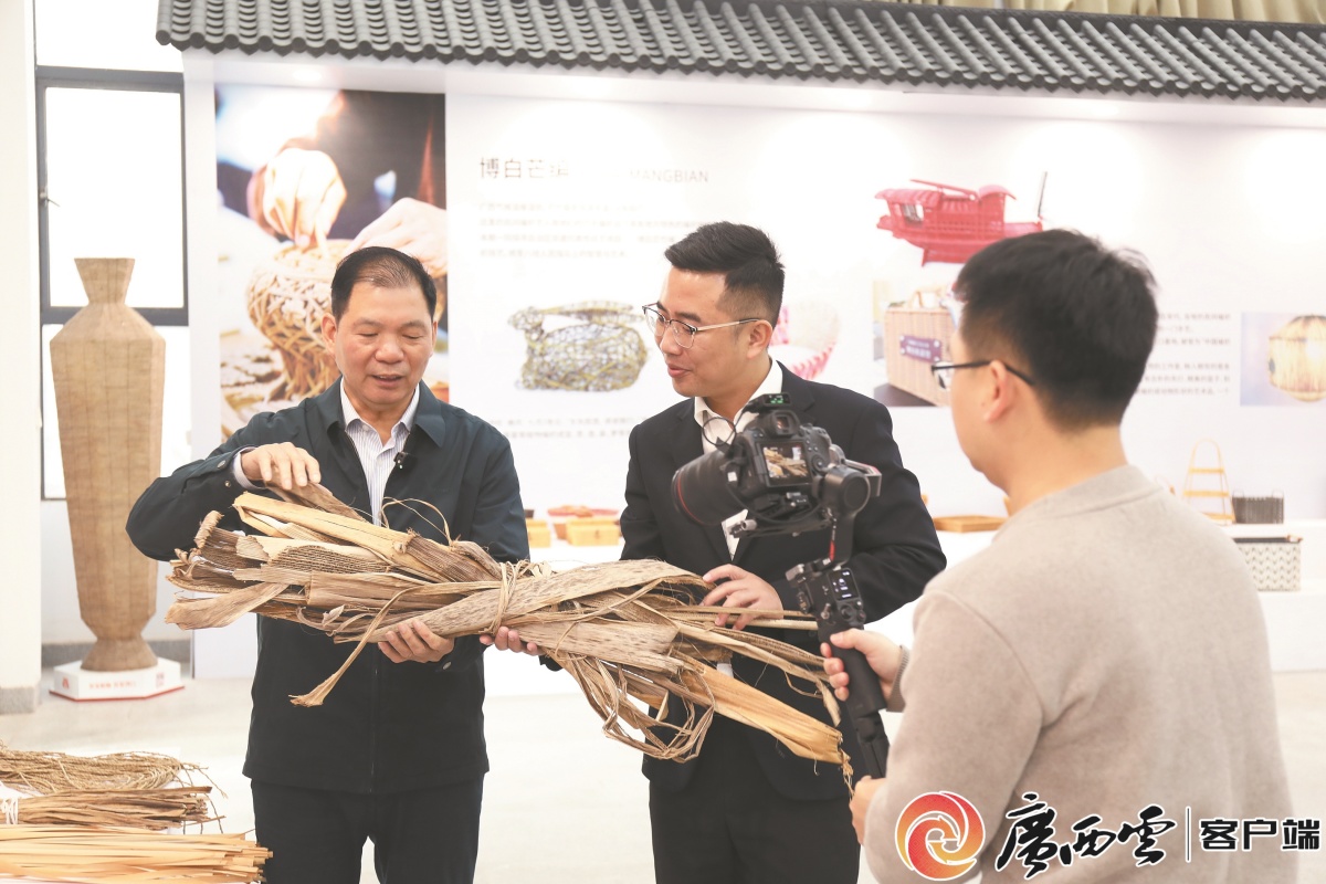 【文图实录】春天的广西·幸福篇｜改善民生铺展幸福画卷(图6)