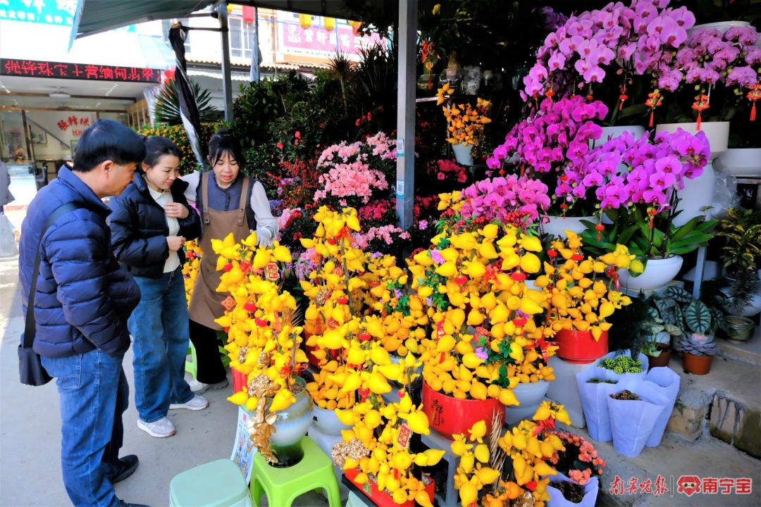 宁迎春花市开市！夜间营业至→CQ9电子最新网站2025南(图3)