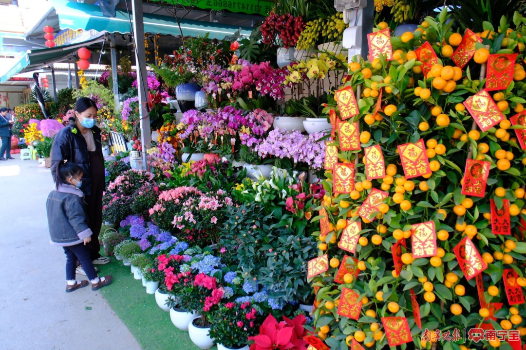 宁迎春花市开市！夜间营业至→CQ9电子最新网站2025南(图2)