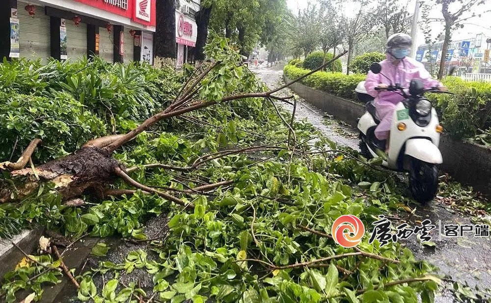 还记得史上最强台风“摩羯”吗？盘点2024年广西十大天气气候事件(图8)