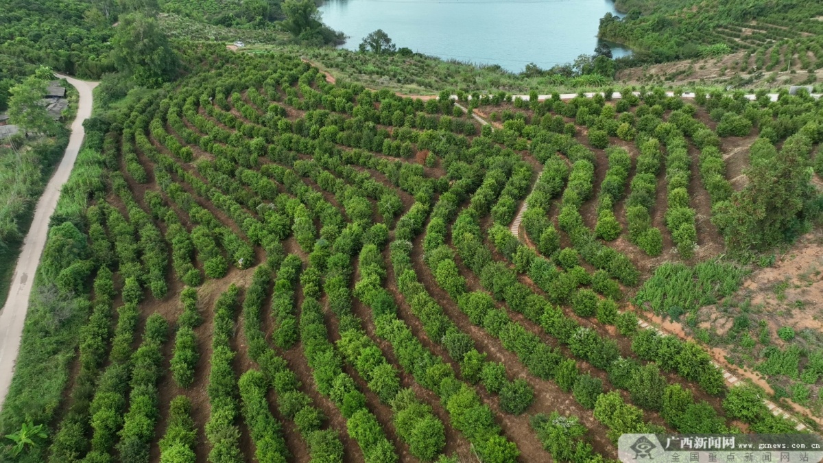 开云体育官网调查报告丨向森林要食物我们准备好了吗(图6)