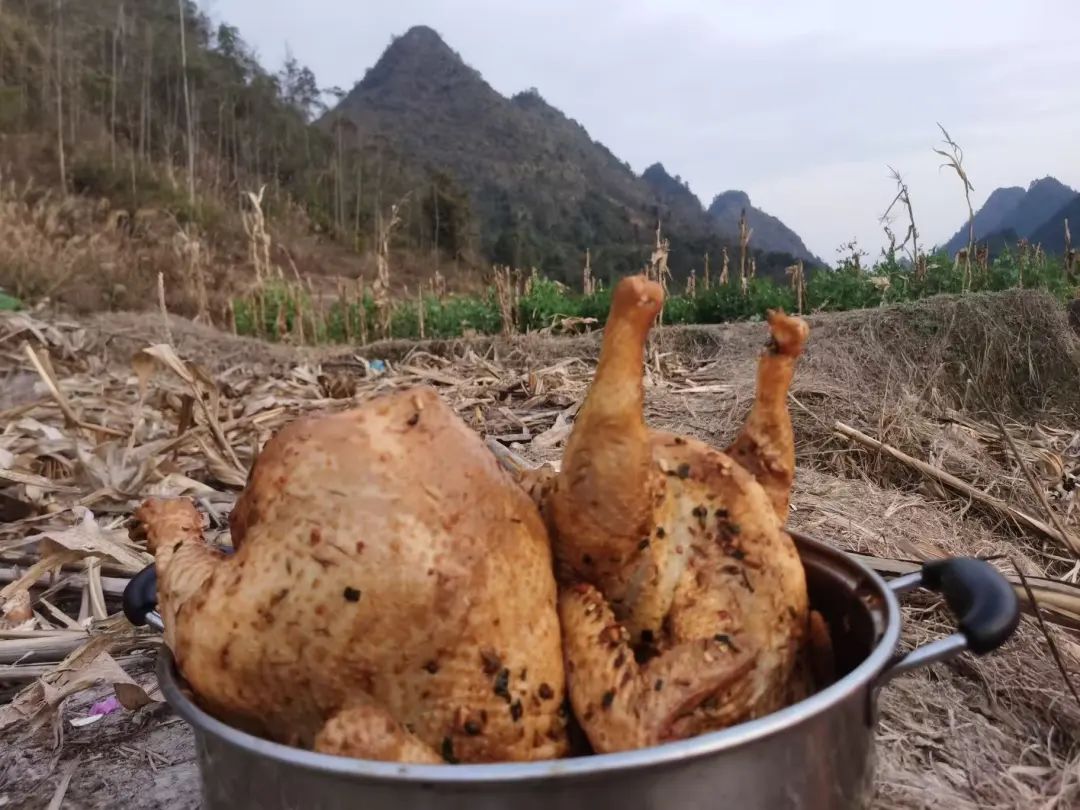 河池人的冬日限定美食——“窑鸡”香飘春节(图4)