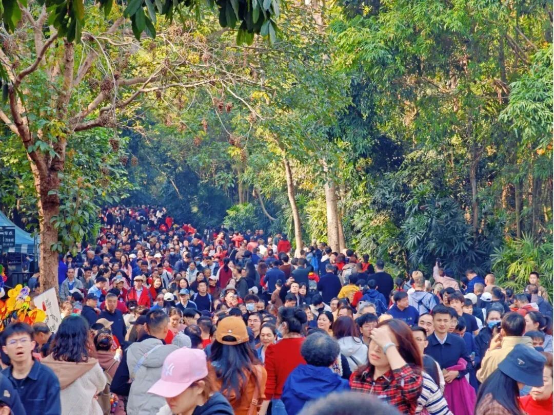 广西春节旅游火爆！活动吸睛，外国游客也来打卡