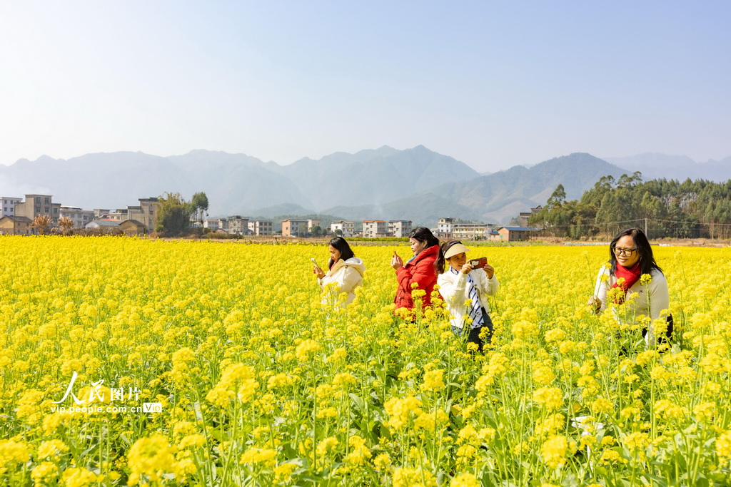 广西蒙山：春暖花开乡村美