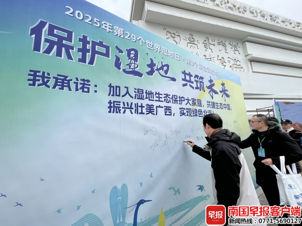 保护湿地，共筑未来！广西全口径湿地总面积达91.45万公顷