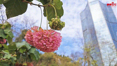 šʢǰѴǰˣܽ