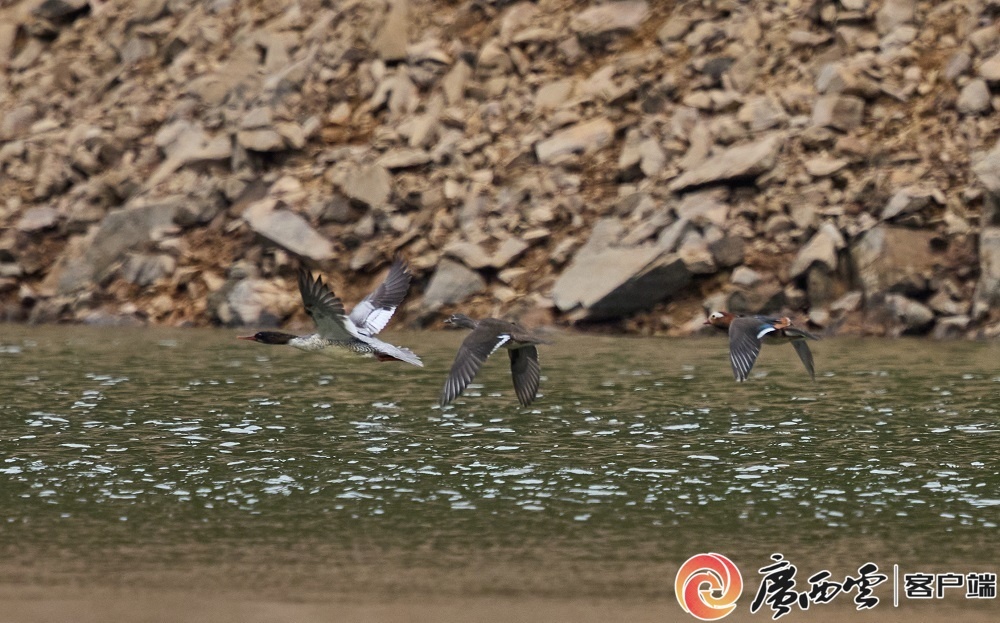 守护绿水青山，书写新“答卷”