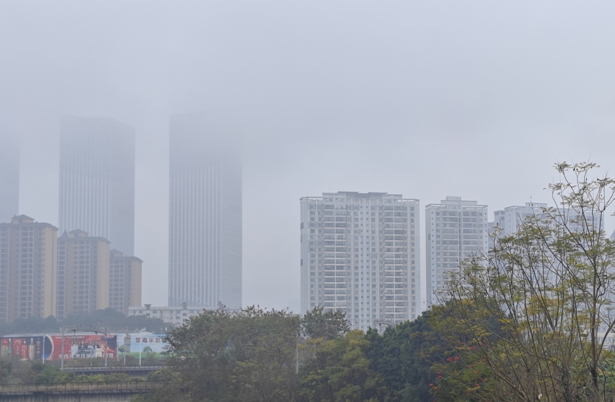 回南天又“返场”！专家揭秘这个春季最“潮”天气是如何炼成的