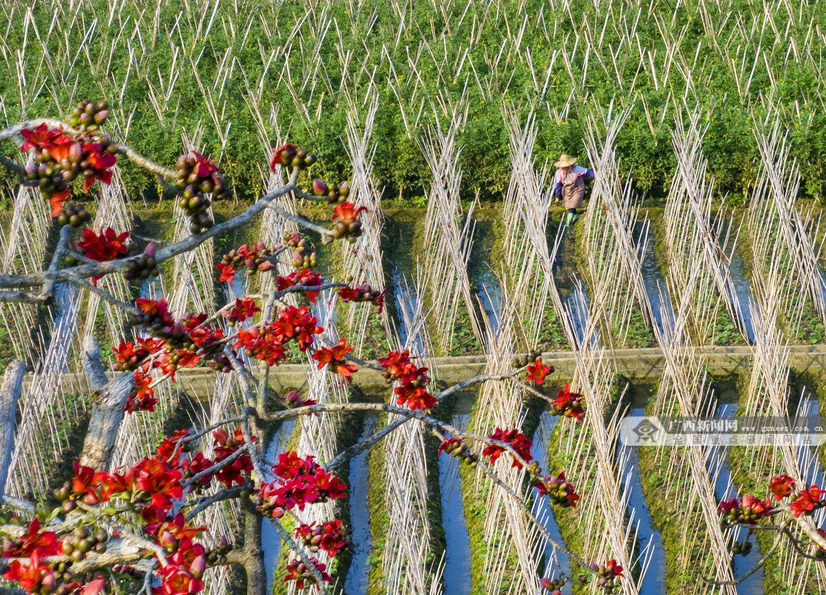 3��17�ս���ͼ