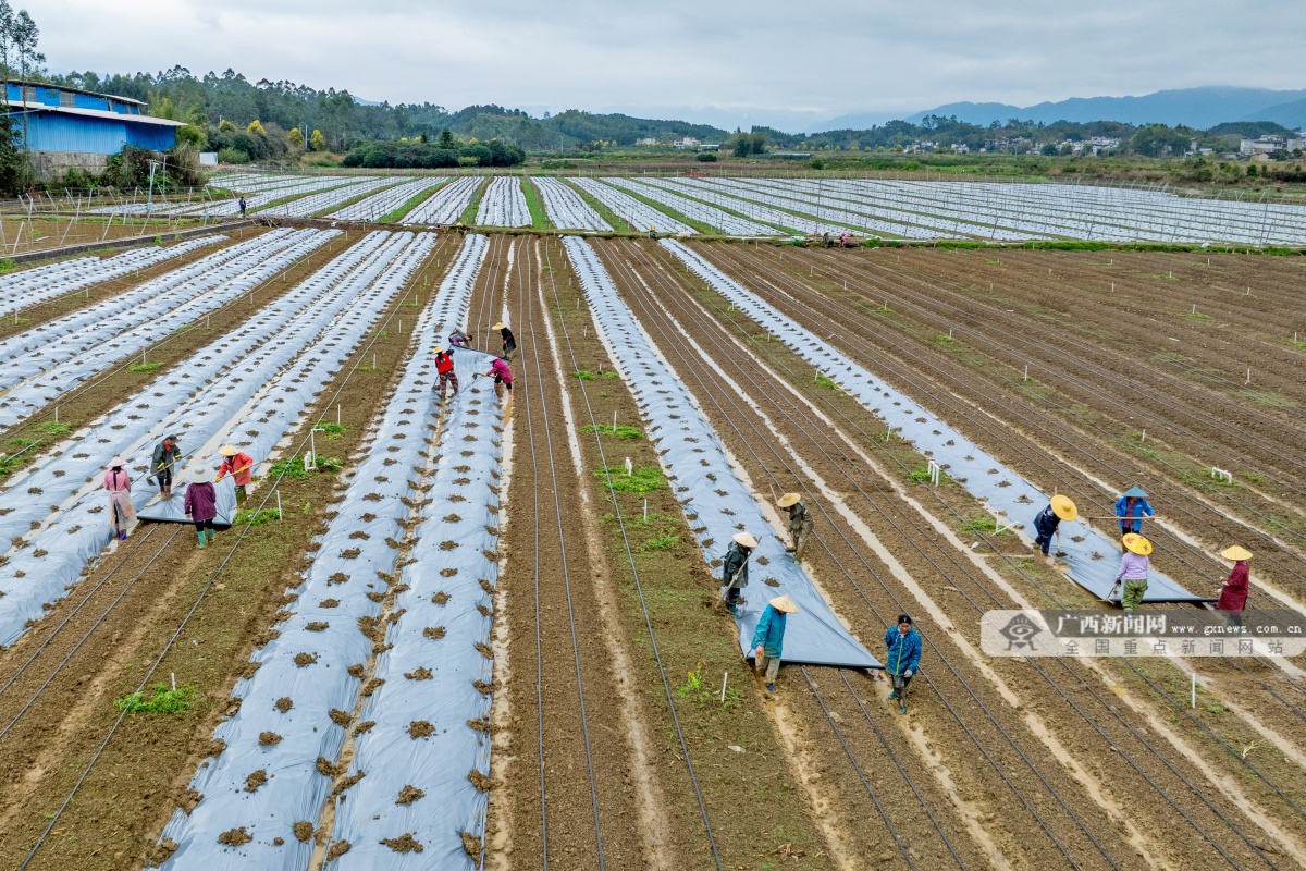 3��17�ս���ͼ