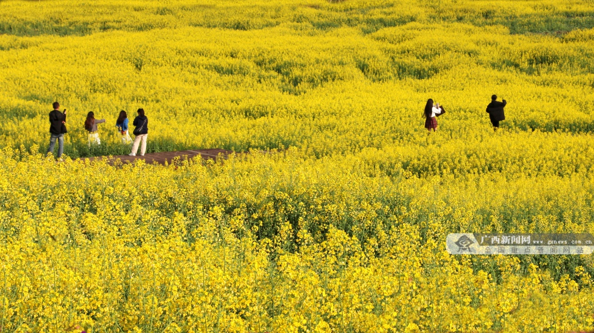 3��18�ս���ͼ