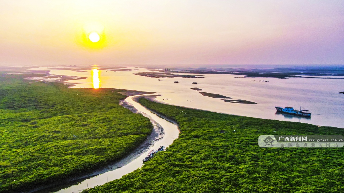 3��18�ս���ͼ