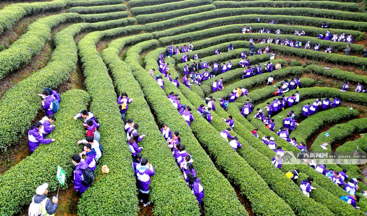 3��18�ս���ͼ