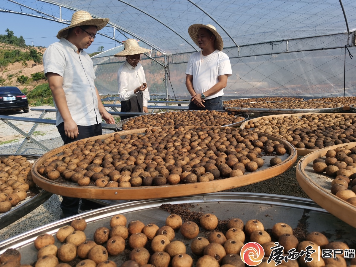 这个工业代外联络站助力“陈”风破浪