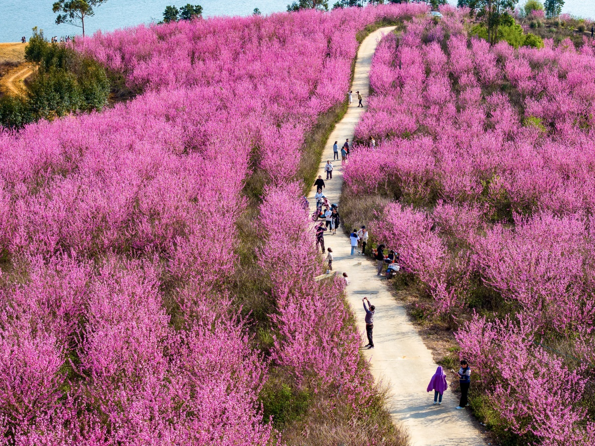 4月3日焦点图
