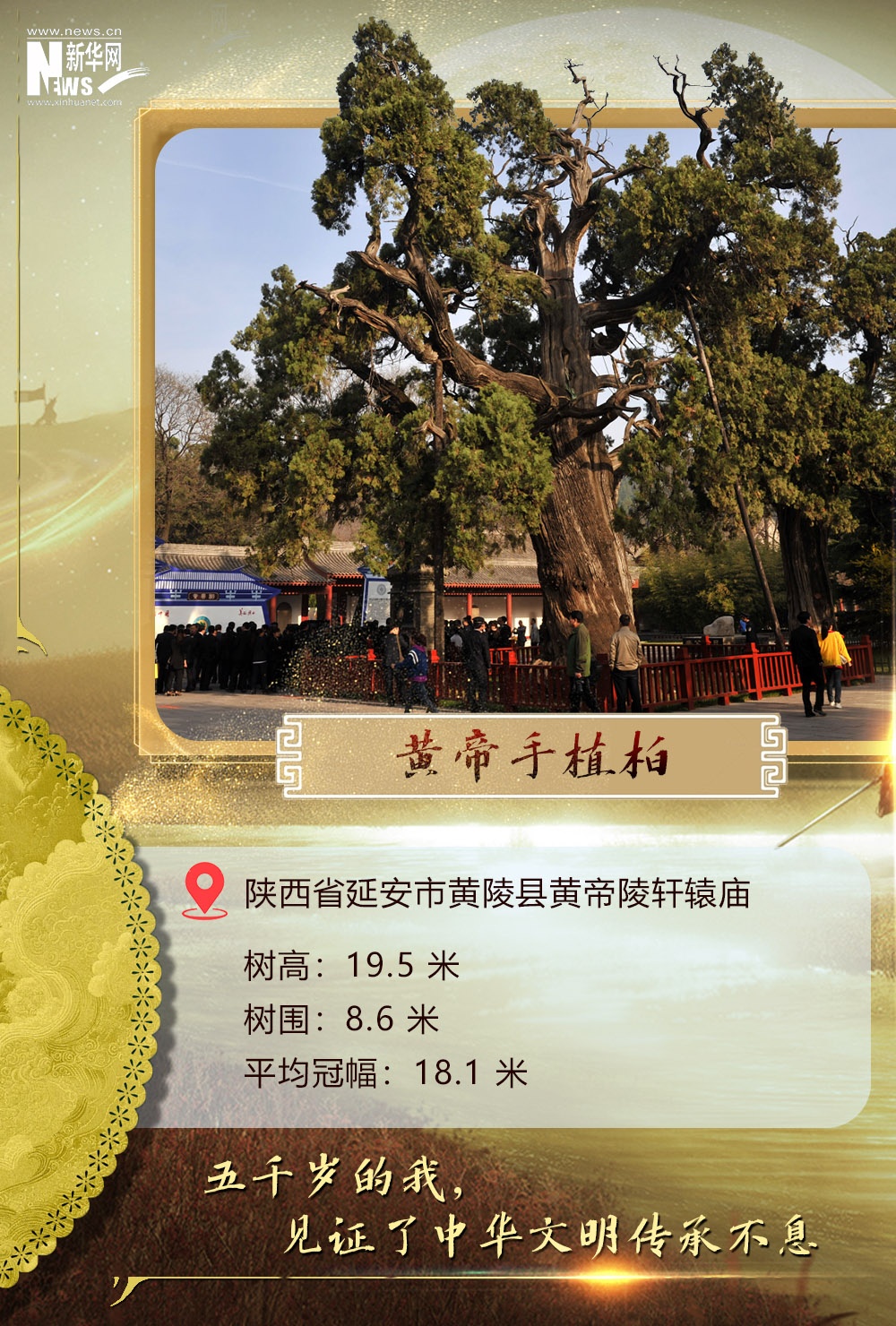 小火箭安卓版下载外网软件