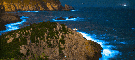 春季，追一场广西海岛的蓝眼泪，遇一次布氏鲸的吻