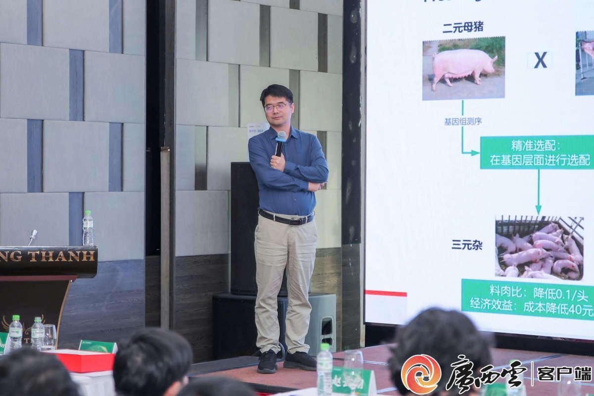 一般养猪常见的农业机械有哪些？凯发国际