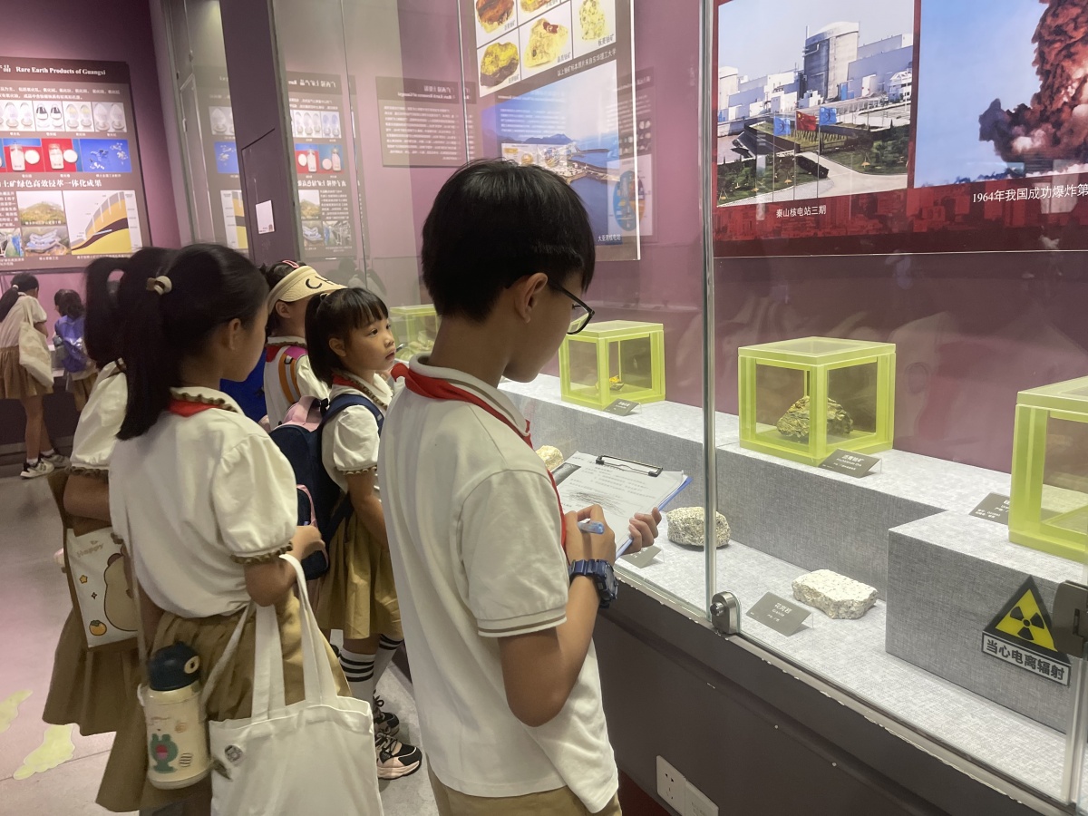 探索自然奥秘感悟manbetx万博登录生命力量——南宁市民主路小学教育集团佛子岭校区学生赴广西自然资源博物馆开展实践活动(图3)