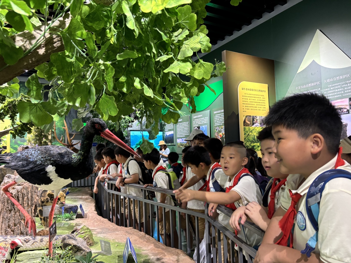 探索自然奥秘感悟manbetx万博登录生命力量——南宁市民主路小学教育集团佛子岭校区学生赴广西自然资源博物馆开展实践活动(图2)