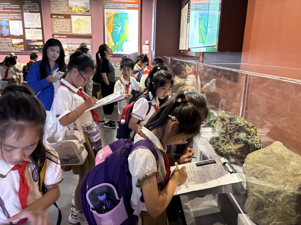探索自然奥秘感悟manbetx万博登录生命力量——南宁市民主路小学教育集团佛子岭校区学生赴广西自然资源博物馆开展实践活动(图4)