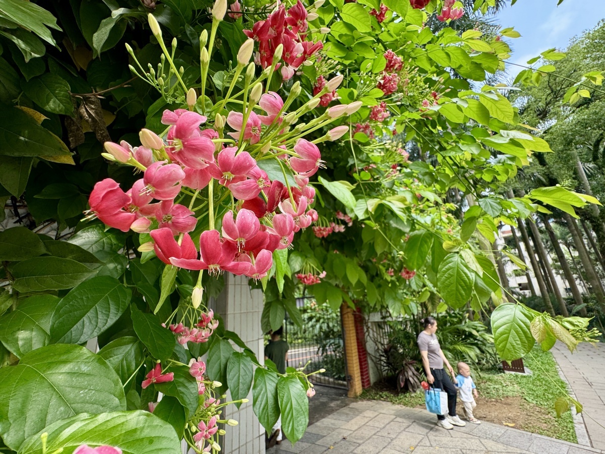 强对流天气或再上线！广西局地有大暴雨