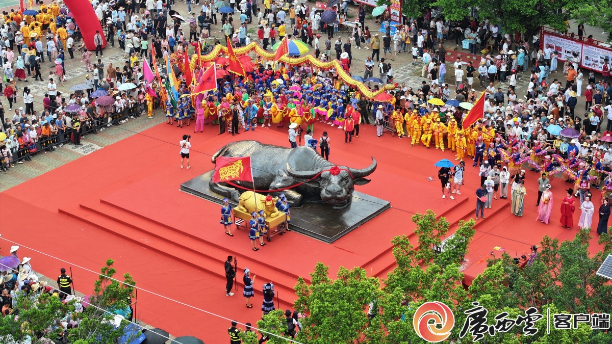“国潮”IP炸场！这个390年的小镇把“四月八”玩出新高度(图2)