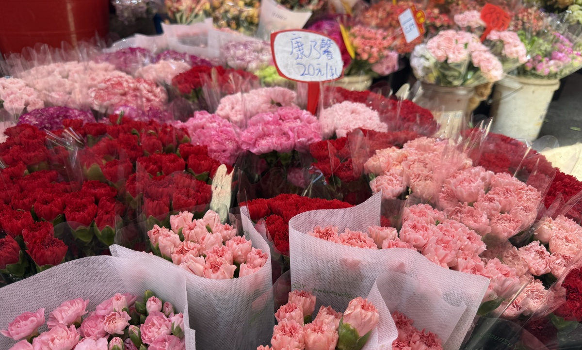 除了康乃馨，芍药也成母亲节受宠花卉