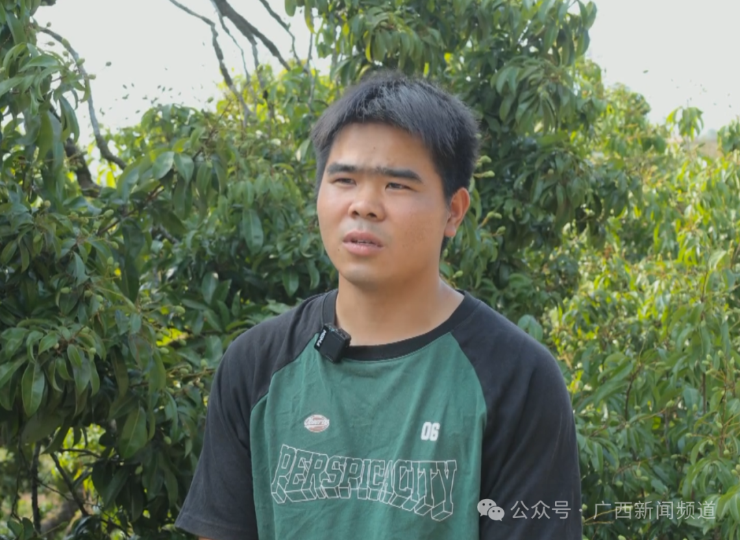 南宁香瓜西瓜大丰收这波“甜蜜暴击”挡不住了！(图6)