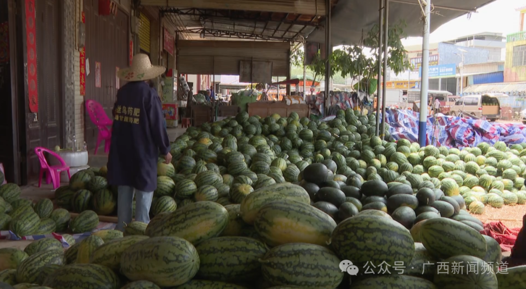 南宁香瓜西瓜大丰收这波“甜蜜暴击”挡不住了！(图3)