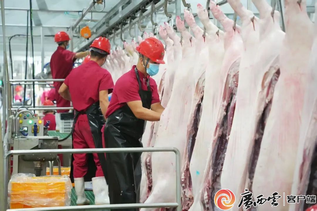 这里可以给182万人提供新鲜猪肉！(图2)
