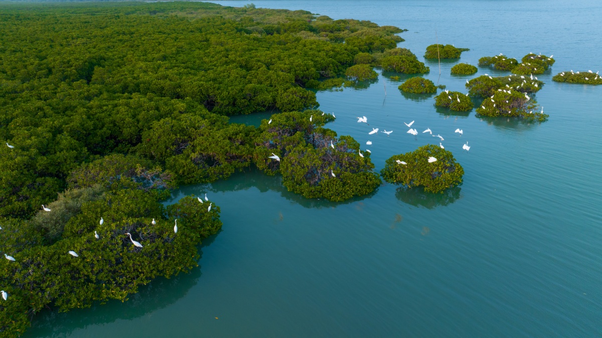 ͬ���������� ������ǧ���顪��������ҵϵͳ��������Ա�����Ч����