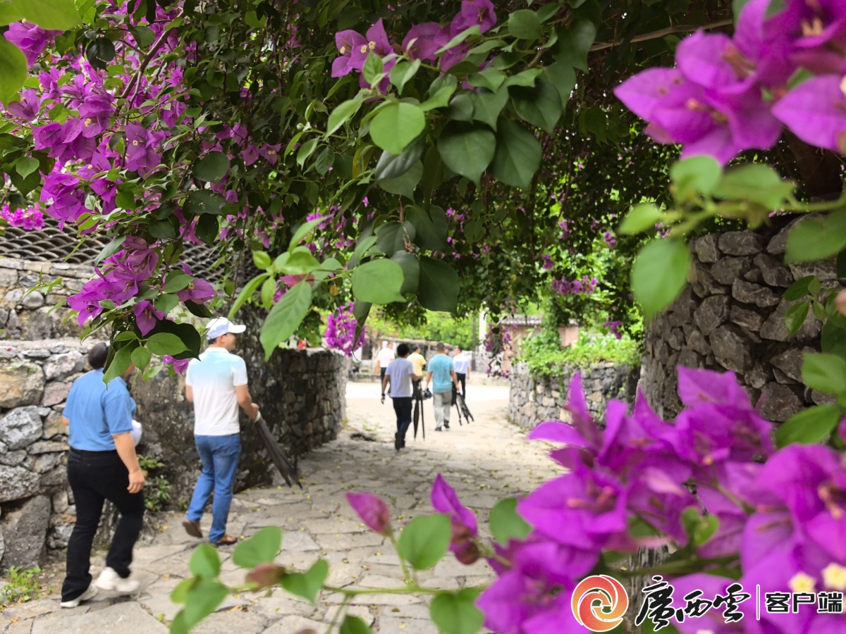 CQ9电子广西云-广西日报丨严阵以待保安澜！水利系统全力做好防汛备汛工作(图1)